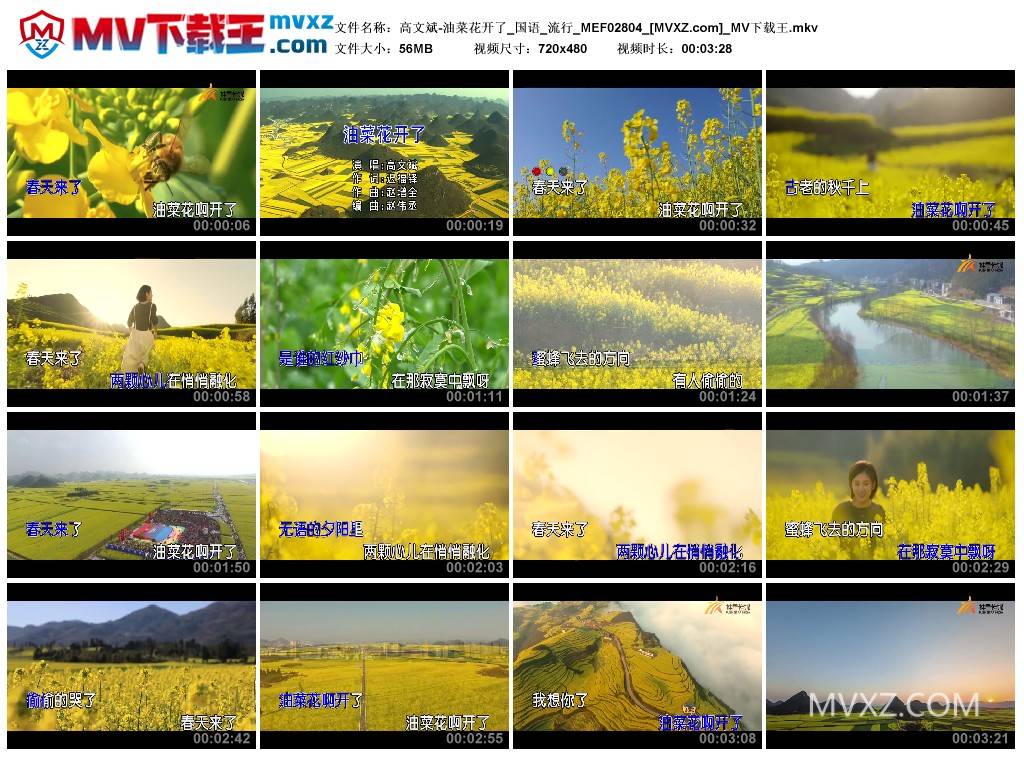 高文斌-油菜花开了_国语_流行_MEF02804